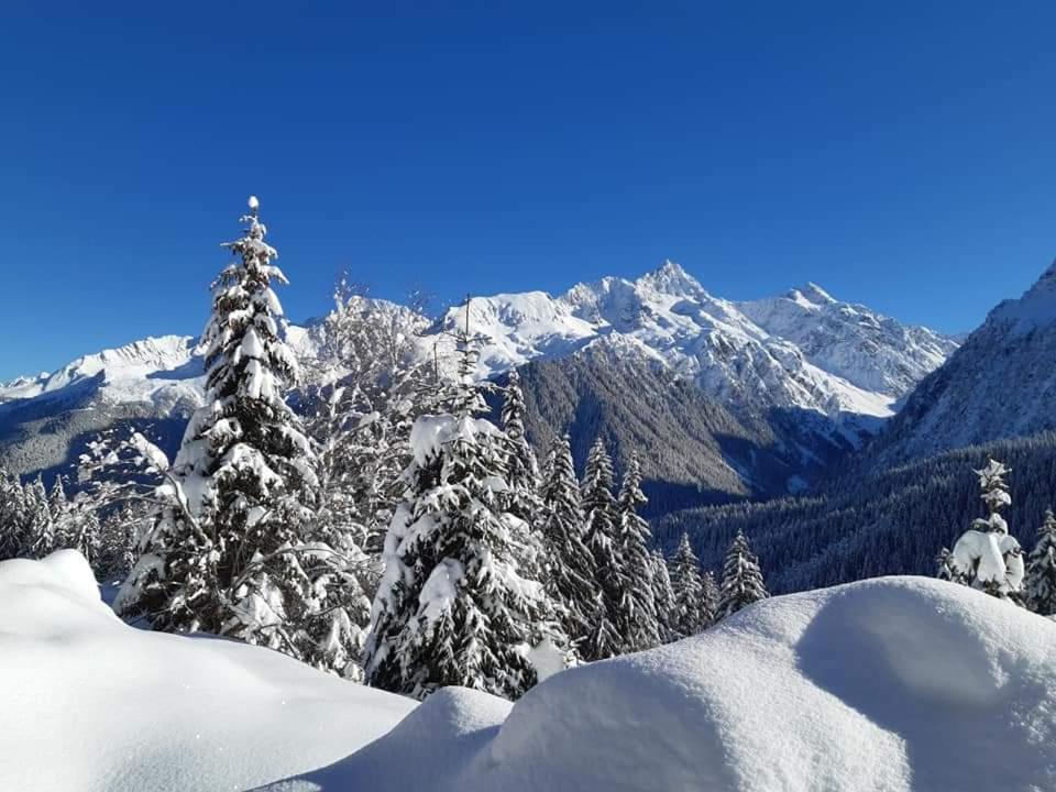 Superbe Studio Aux 7 Laux La Ferrière エクステリア 写真
